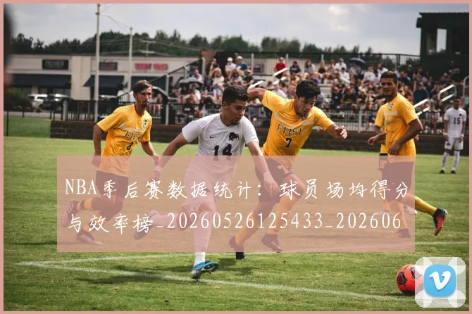 NBA季后赛数据统计：球员场均得分与效率榜_20260526125433_20260607160143